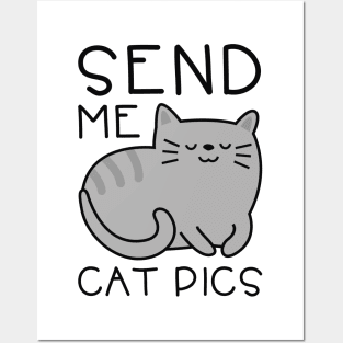 Send Me Cat Pics Posters and Art